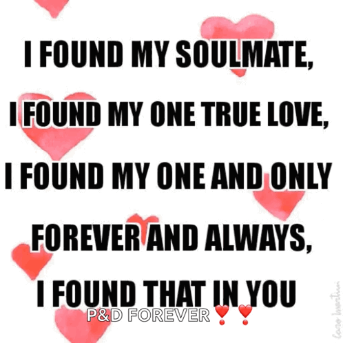 Poster Saying I Found My Soulmate