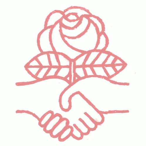 Poster Saying Solidarity Socialism Real Freedom GIF