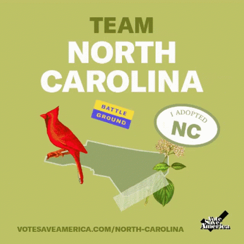 Poster Saying Team North Carolina With Bird GIF