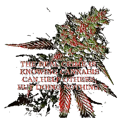 Poster Saying The Real Crime Is Knowing Cannabis