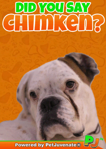 Poster With Dog Saying Did You Say Chinken