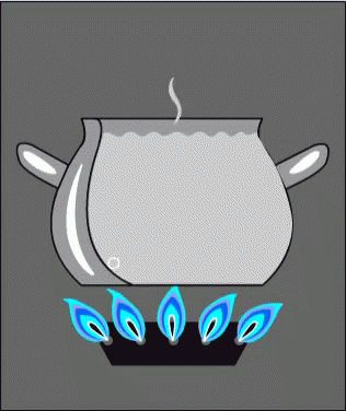 Pot of Water Cooking on Stove With Blue Flames