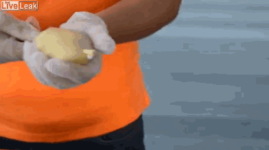 Potato Swirl On Stick GIF