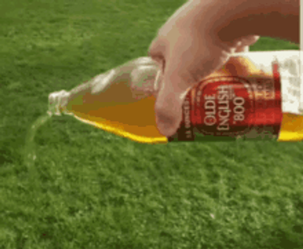 Pour One Out Olde English Beer GIF