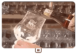 Pouring Beer Into Test Glass