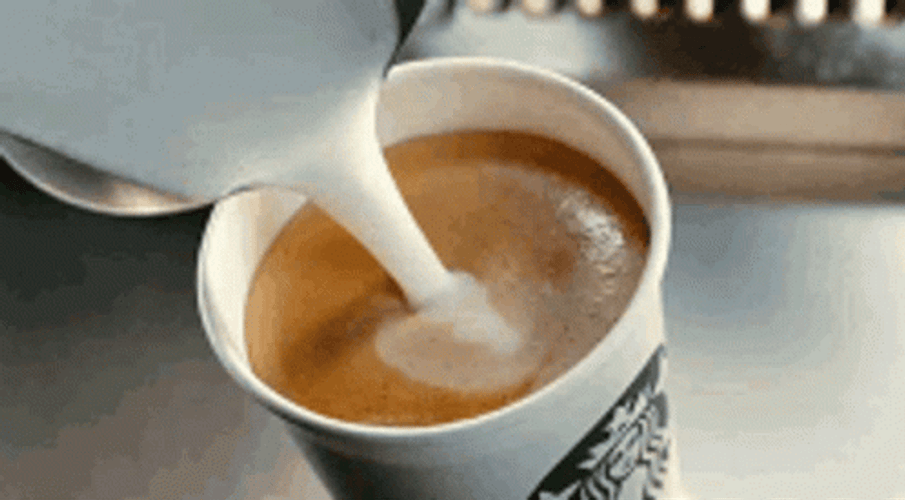 Pouring Creamer In Starbucks Coffee GIF