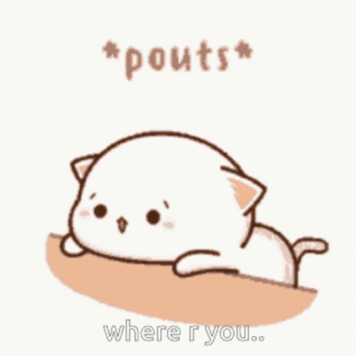 Pouty Cat Where  GIF