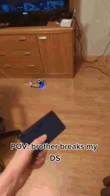 Pov Brother Breaks Nintendo Dual Screen GIF