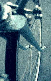 Pov On Wheels When Biking GIF