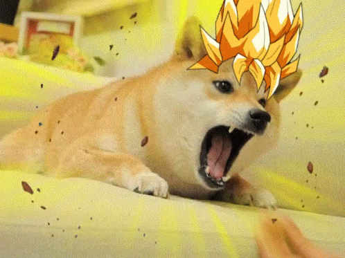 Power Boost Goku Hair Doge Meme GIF
