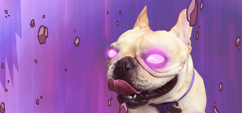 Power Up French Bulldog Glowing Eyes GIF