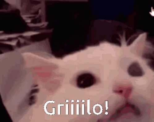 Powerful Eyes Screaming El Gato Meme GIF