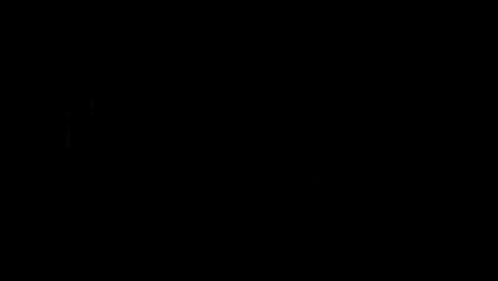 practical magic 2 is written in gold letters on a dark background