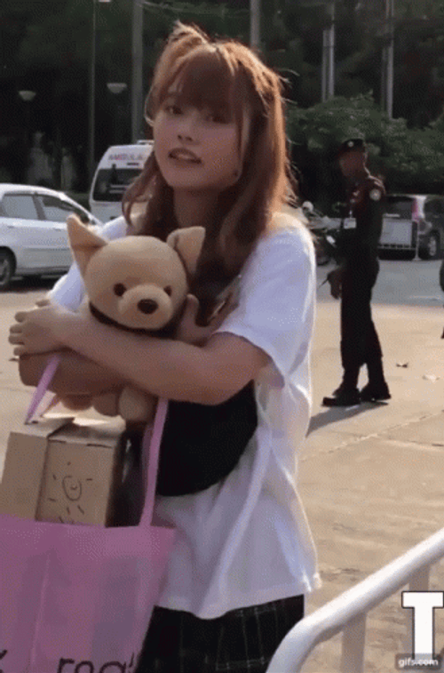 Praewa Suthamphong Comfort Hugs Teddy Bear GIF