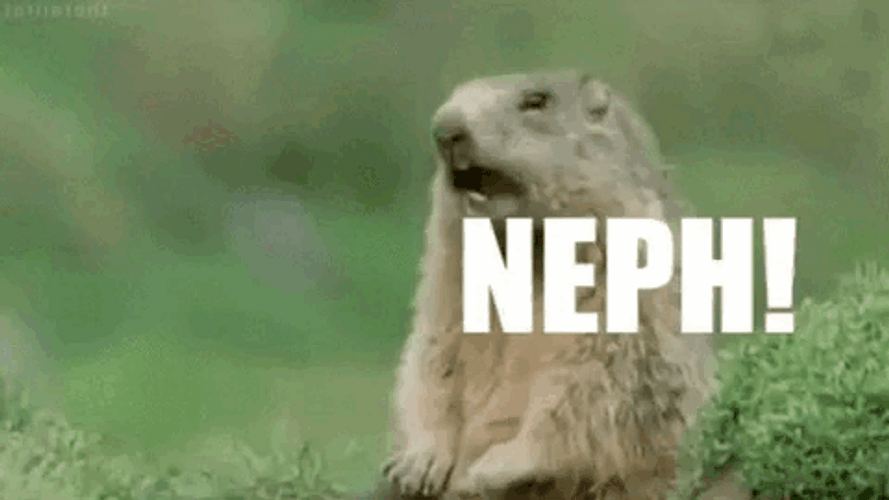 Prairie Dog GIF
