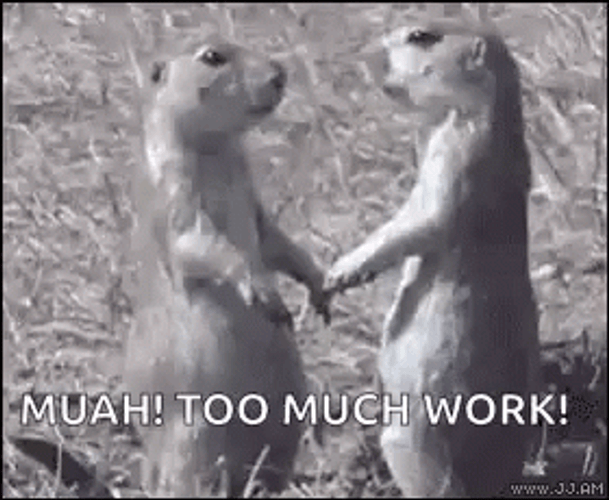 Prairie Dog GIF