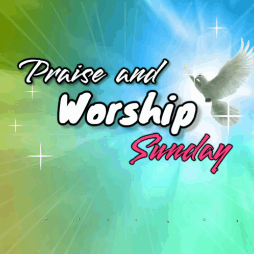 Praise and Worship Sunday Dove Poster