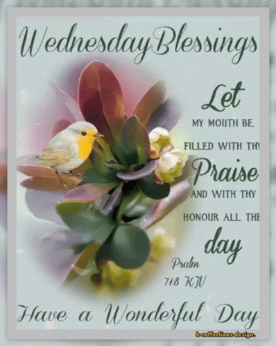 Praise Day Happy Blessed Wednesday GIF