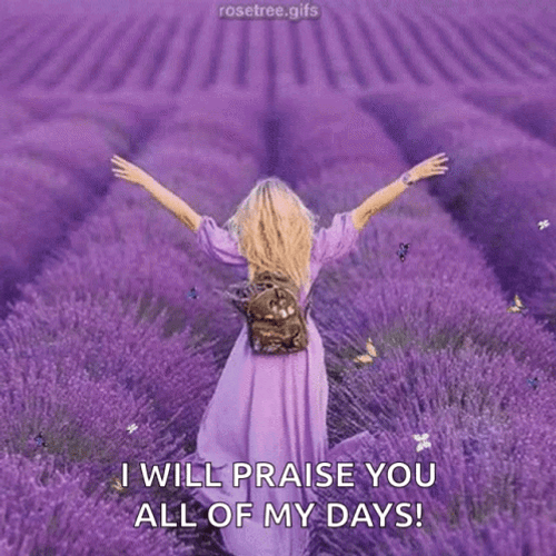 Praise The Lord Lavender Field GIF