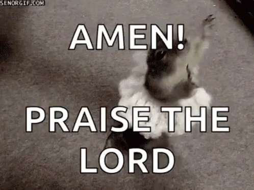 Praise The Lord Squirrel Tutu Ballet Dance GIF
