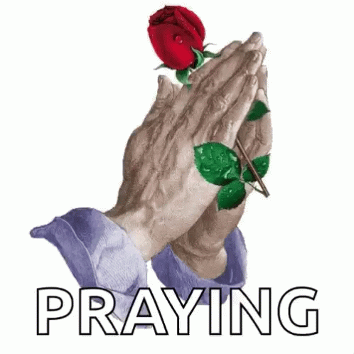 Prayer Praying Hands With Rose GIF