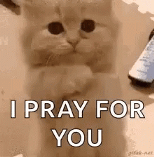Praying For You GIFs GIFDB