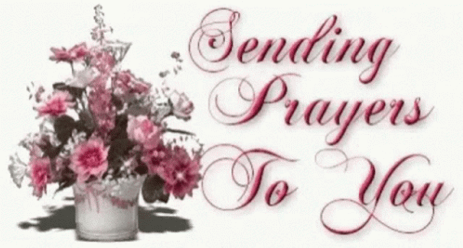 Praying For You GIFs GIFDB