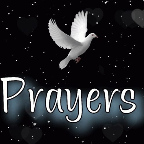 Praying For You Peace Dove On Shimmering Sky GIF