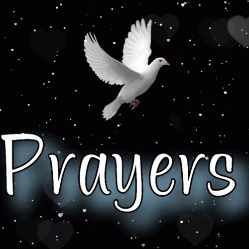 Praying For You Peace Dove On Shimmering Sky GIF