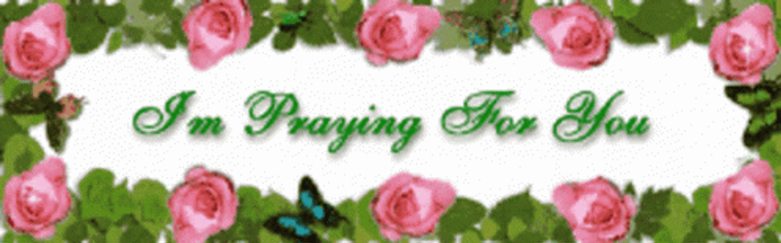 Praying For You Sparkling Pink Roses GIF