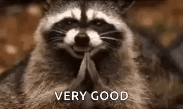 Praying Smiling Raccoon