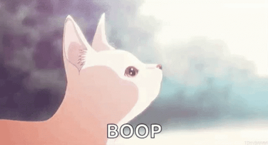 Precious Kitty Receiving Gentle Boop GIF