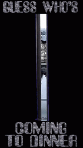 Predator Costume Elevator Funny Meme GIF
