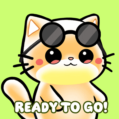 Prepared And Ready To Go Cat GIF