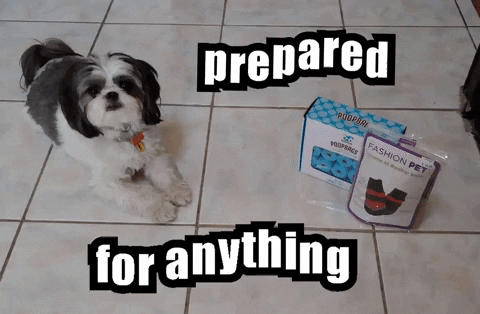 Prepared For Anything Dog GIF