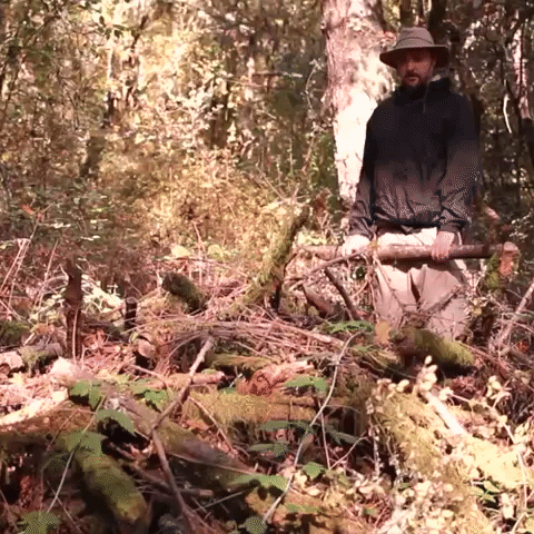 Preparing Wood Fire GIF