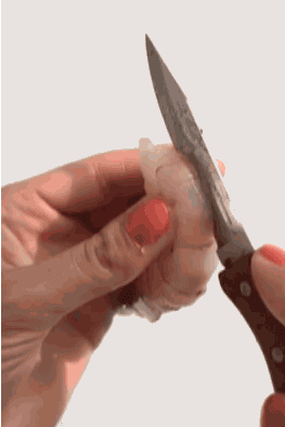 Prepping And Cutting Shrimp GIF