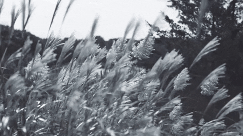 Preppy Clothes Black And White Effect GIF