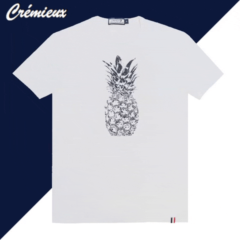 Preppy Pineapple Shirt GIF | GIFDB.com
