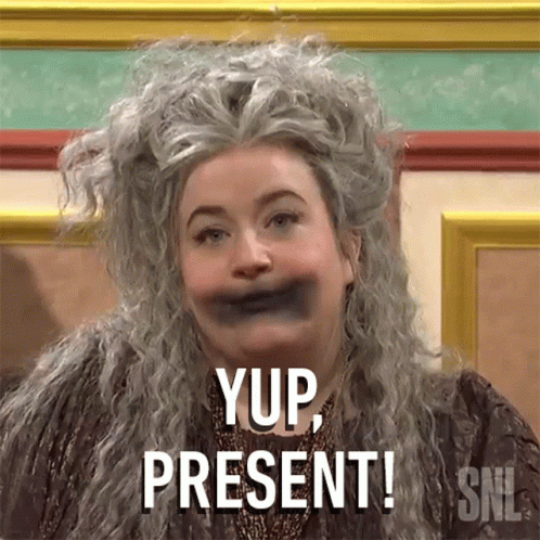 Present Aidy Bryant Snl GIF