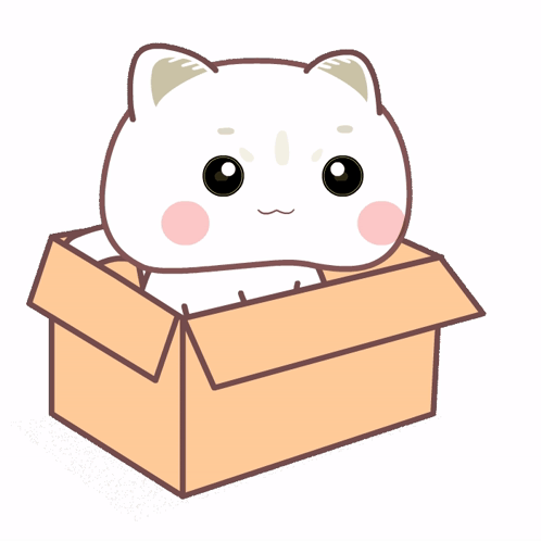 Present In Box Cute Cartoon Cat GIF