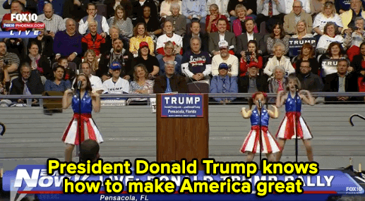 President Donald Trump Dancing GIF