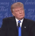 President Donald Trump Wrong Listening Reaction GIF