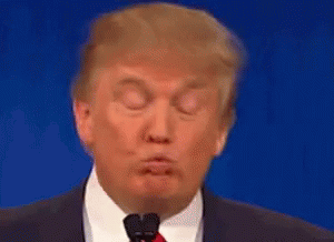 President Donald Trump Wrong Pouting Lips Moving Head GIF