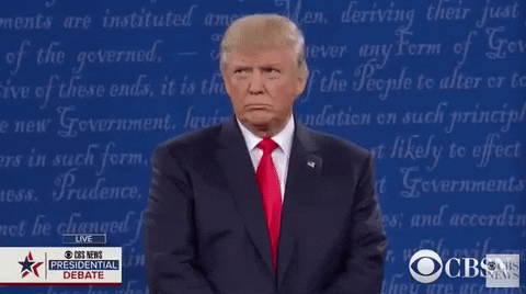 President Donald Trump Wrong Serious Vow GIF