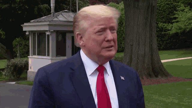 President Donald Trump Wrong Seriously Speaking GIF