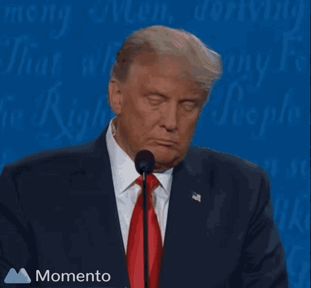President Donald Trump Wrong Shakes Head GIF
