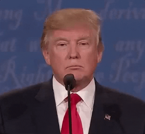 President Donald Trump Wrong Smile Nodding GIF