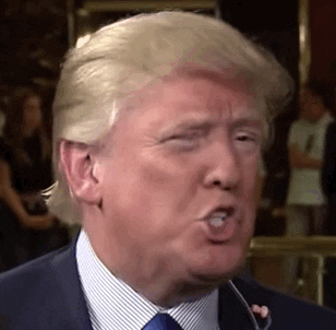 President Donald Trump Wrong Speaking Smile GIF