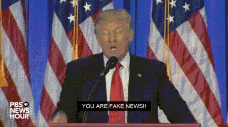 President Donald Trump Wrong You Are Fake News GIF